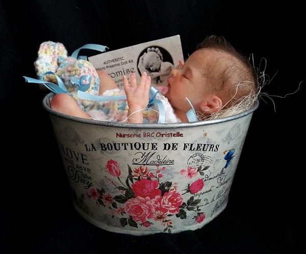 Miniature www.bebe-reborn-creation (1)